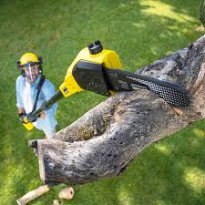 Best Lawn Pest Prevention  in Manti, UT